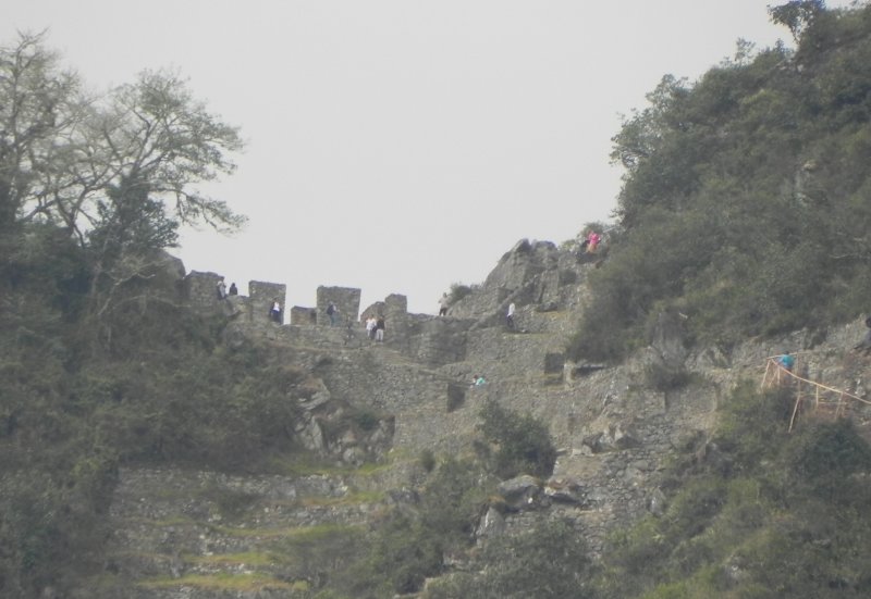 DSCN8429 Kopie.JPG