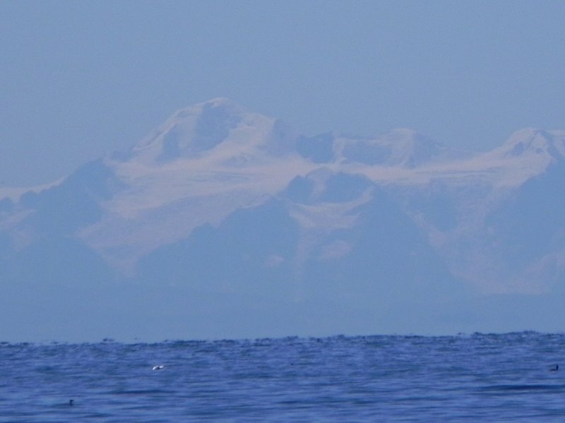 DSCN9015 Kopie.JPG