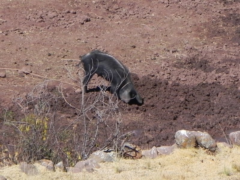 DSCN9102 Kopie.JPG