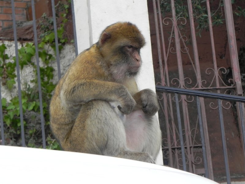 DSCN6747.JPG