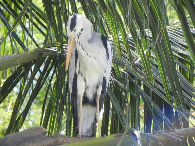 DSCN7466.JPG
