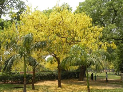 Humayun's Tomb