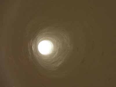 g1/61/338261/3/116048681.hJj4kX8z.jpg