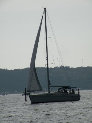 g1/61/338261/3/117506477.NV016e9e.jpg