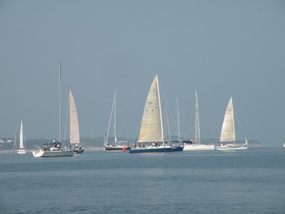 g1/61/338261/3/117506697.lH6DA1NZ.jpg