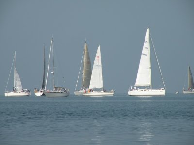 g1/61/338261/3/117506699.gNZN16Ag.jpg
