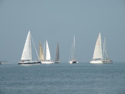 g1/61/338261/3/117506708.8QyCIKqh.jpg