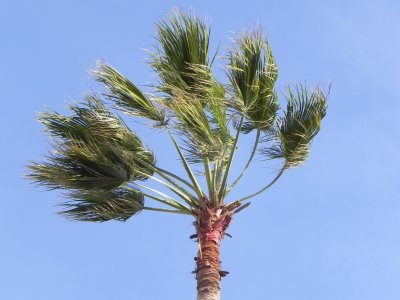 DSCN7697 Kopie.JPG