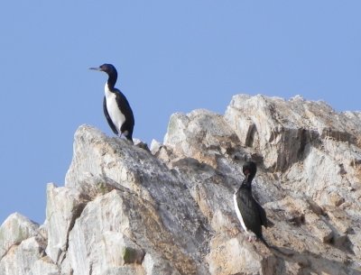 DSCN7812 Kopie.JPG