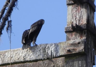 DSCN7818 Kopie.JPG