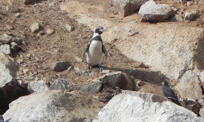 DSCN7865 Kopie.JPG