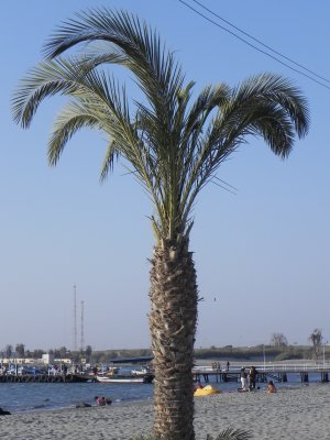 DSCN7989 Kopie.JPG
