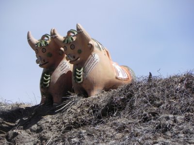 DSCN8666 Kopie.JPG