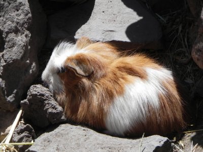 DSCN8676 Kopie.JPG
