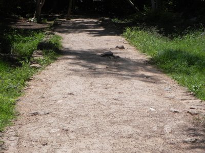 DSCN9978 Kopie.JPG