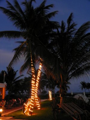 DSCN0074 Kopie.JPG