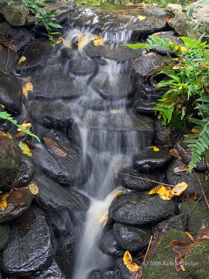 A small waterfall near the bog garden