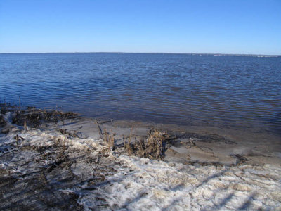 Icy shores of Lake Mattamuskeet