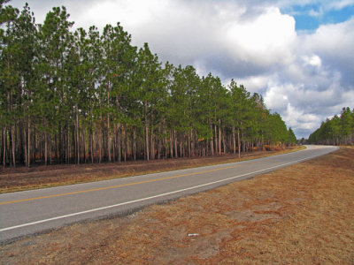 Hwy 211 facing north near the pond