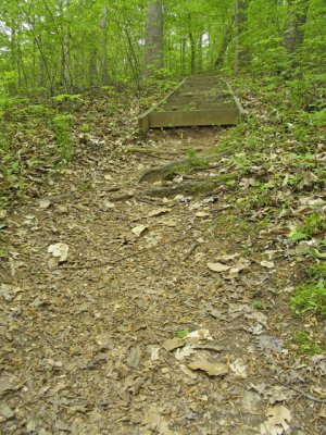 Stairs near the end of the trail