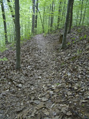 View of the trail along the top of ridge