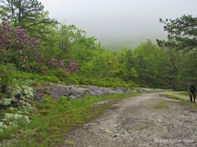 Panthertown Valley - Trail View