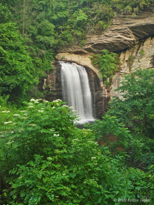Looking Glass Falls 4