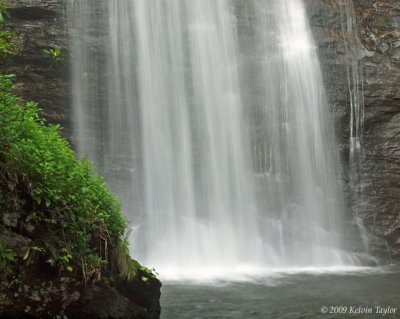 Looking Glass Falls closeup