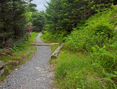 Mt. Mitchell 27