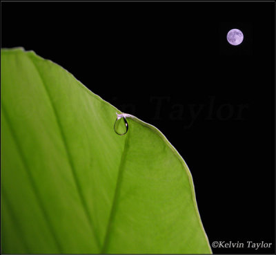 Droplet under the moon