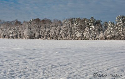 Snowy field