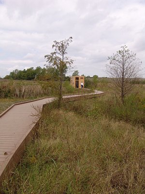 TRAC18.jpg