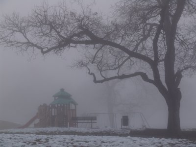 Foggy morning in Parkdale Park