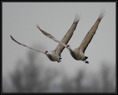 Pair flyby