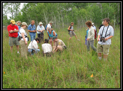 Exploring the prairie