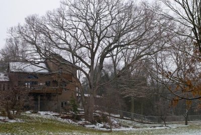 dlb_080224_L1010819.jpg