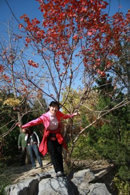 theonlyredleaves.JPG