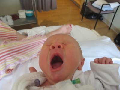 Lucas is yawning