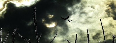 The moon was a ghostly galleon...