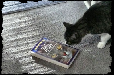 The Cat who Read Backwards