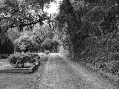 Bonaventure Cemetery Thunderbolt, GA