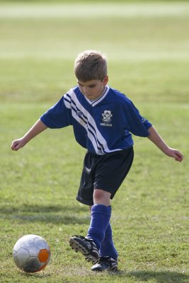 IMG_7917.jpg