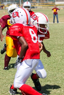 IMG_7036.jpg