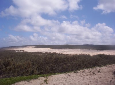 Fraser Dunes