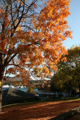 The Park