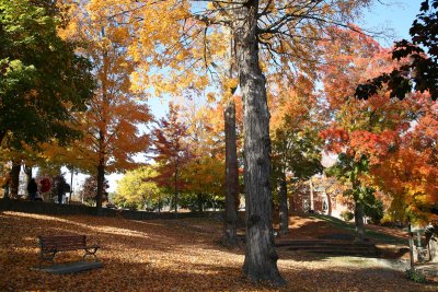 Village Park