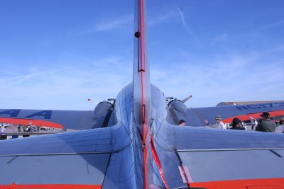 Gooney Bird Tail.jpg