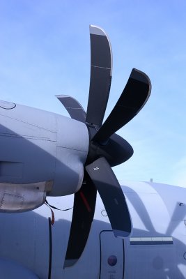Now thats a prop_IMG_3749.jpg