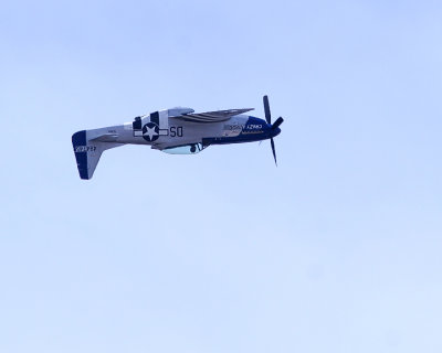 P51.jpg