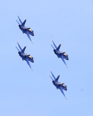 Blue Angels 1a.jpg